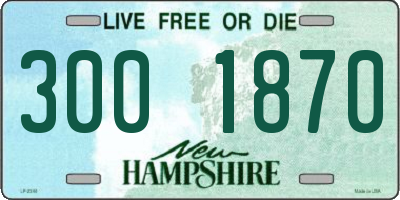 NH license plate 3001870