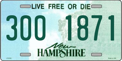 NH license plate 3001871