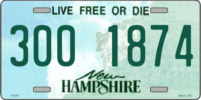 NH license plate 3001874
