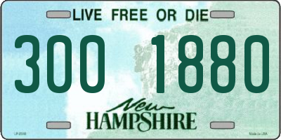 NH license plate 3001880
