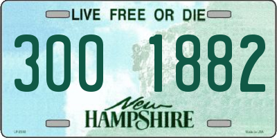 NH license plate 3001882