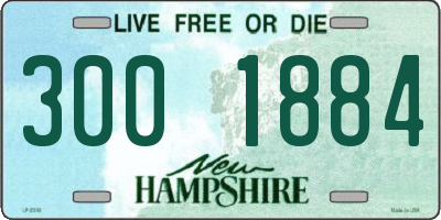 NH license plate 3001884