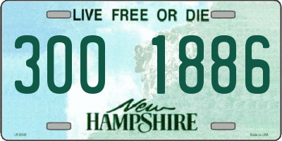 NH license plate 3001886