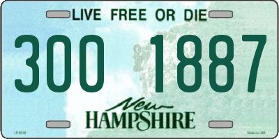 NH license plate 3001887