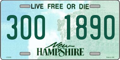 NH license plate 3001890
