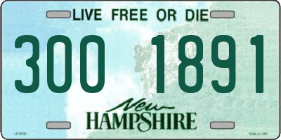 NH license plate 3001891