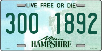 NH license plate 3001892