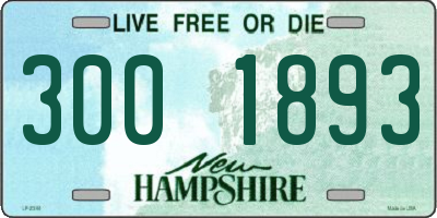 NH license plate 3001893