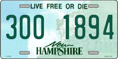 NH license plate 3001894