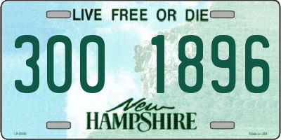 NH license plate 3001896