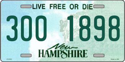 NH license plate 3001898