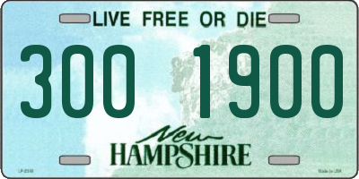 NH license plate 3001900