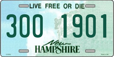 NH license plate 3001901