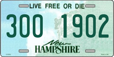 NH license plate 3001902