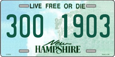 NH license plate 3001903