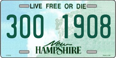 NH license plate 3001908