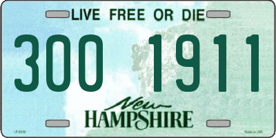 NH license plate 3001911