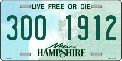 NH license plate 3001912