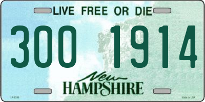 NH license plate 3001914