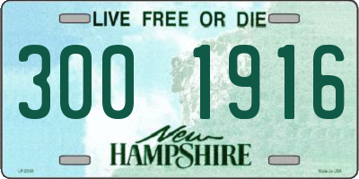 NH license plate 3001916