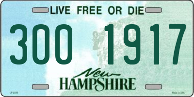 NH license plate 3001917