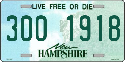 NH license plate 3001918