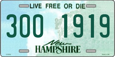 NH license plate 3001919