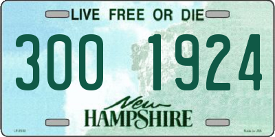 NH license plate 3001924