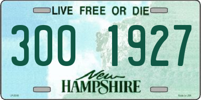 NH license plate 3001927