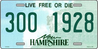 NH license plate 3001928