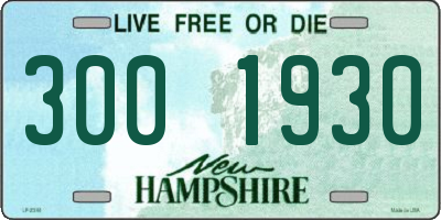 NH license plate 3001930
