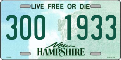NH license plate 3001933