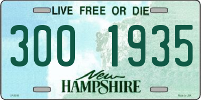 NH license plate 3001935