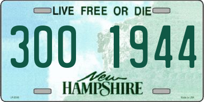 NH license plate 3001944