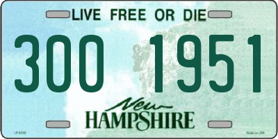 NH license plate 3001951