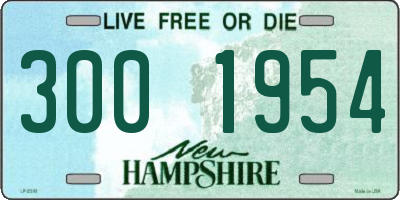 NH license plate 3001954