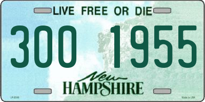 NH license plate 3001955