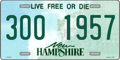 NH license plate 3001957