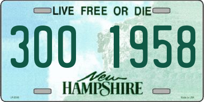 NH license plate 3001958