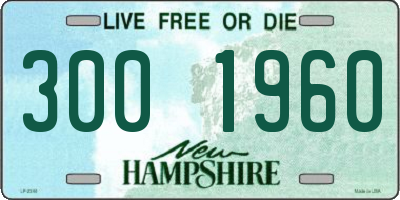 NH license plate 3001960
