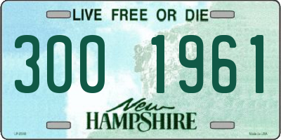 NH license plate 3001961