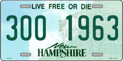 NH license plate 3001963