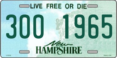 NH license plate 3001965