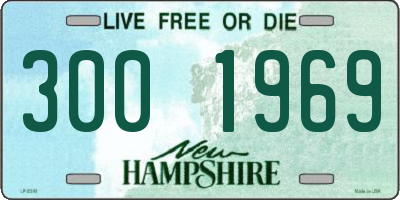 NH license plate 3001969