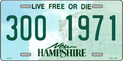 NH license plate 3001971