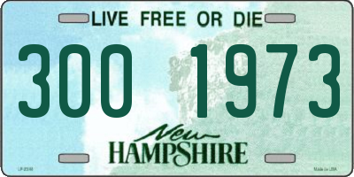 NH license plate 3001973