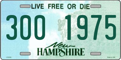 NH license plate 3001975