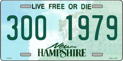NH license plate 3001979