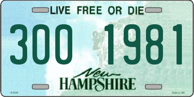 NH license plate 3001981