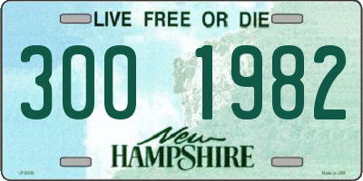 NH license plate 3001982